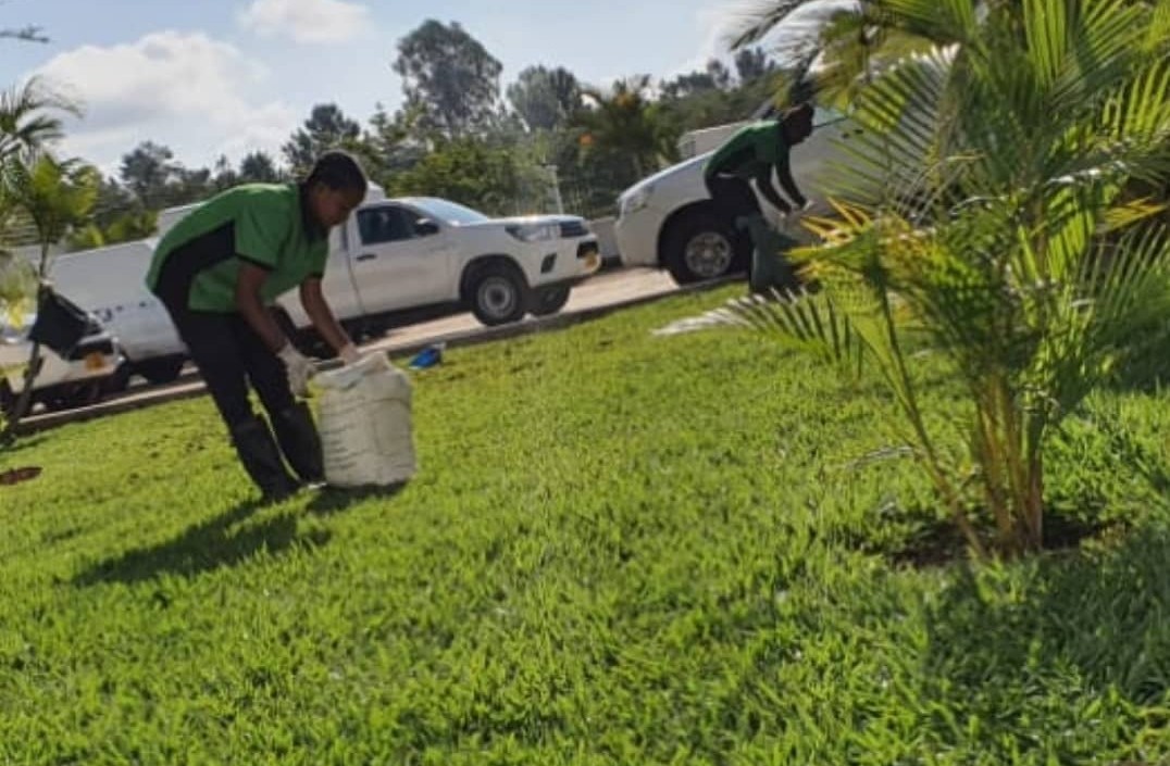 Landscaping