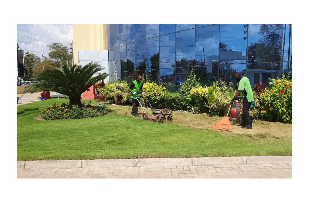 Landscaping