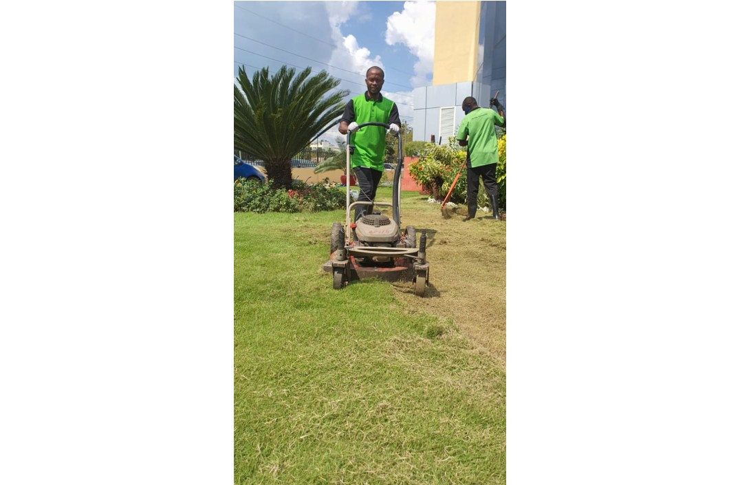 Landscaping
